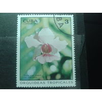 Куба 1973 Тропическая орхидея