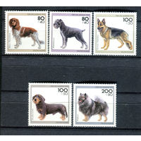 Германия - 1995г. - Собаки - полная серия, MNH, одна марка с дефектом клея [Mi 1797-1801] - 5 марок