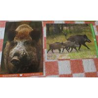 Почтовые карточки БЕЛАРУСЬ природа  фауна выборочно цена за 1 шт