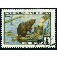 Фауна СССР 1961 год 1 марка