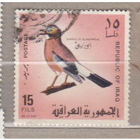 Птицы  Фауна  Ирак 1968 год лот 1007