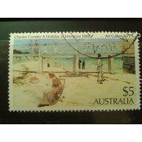 Австралия 1984 Живопись