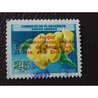 Сальвадор 1967 г. Цветы. Надпечатка.