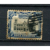 Перу - 1905 - Национальный институт гигиены - (есть тонкое место) - [Mi. 122] - полная серия - 1 марка. Гашеная.  (LOT DR43)