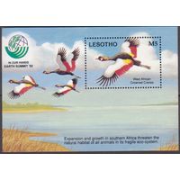 1993 Лесото 1013/B97 Птицы 6,50 евро