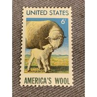 США. American Wool