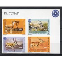 Домашние копытные Чад 1996 год серия из 4-х б/з марок в квартблоке