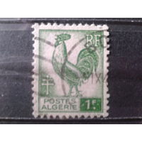 Алжир колония Франции 1944 Гальский петух