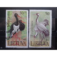Литва 1991 Птицы из Красной книги Полная серия Михель-2,0 евро гаш