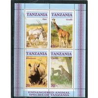 Танзания. Фауна. Охраняемые виды. Блок