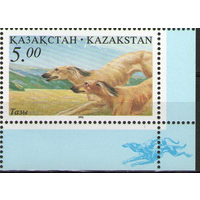 Казахстан, фауна, собака, 1996 г. Национальная охота **  Гончая Тазы