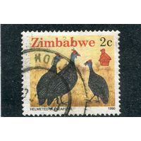 Зимбабве. Фауна. Цесарки