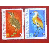 Болгария. Птицы. ( 2 марки ) 1981 года. 9-5.