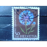 Швейцария 1963 Цветок Михель-2,0 евро гаш