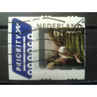 Нидерланды 2004 Живопись Габриэля Метсу Михель-1,2 евро гаш