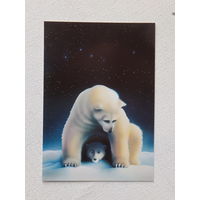 Белые медведи Швейцария    10х15 см