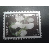 Турция 2009 цветы