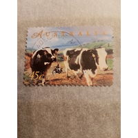 Австралия 1996. Домашний скот. Коровы