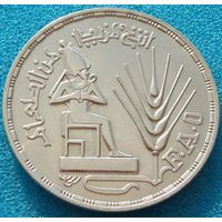 Египет. 1 фунт 1976 года  KM#453  "ФАО"  Тираж: 50.000 шт