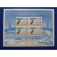 1962 Северный полюс, Надпечатка** Блок