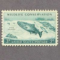 Королевский лосось США King Salmon Wildlife Conservation 1956 King Salmon