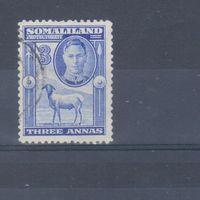 [814] Британские колонии. Сомалиленд 1942. Георг VI.Фауна.Скот.Черноголовая овца.3а. Гашеная марка.
