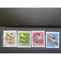 Швейцария, 1969, Птицы, полная серия
