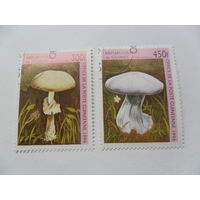 Гвинея, грибы 2 марки