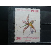 Перу, 1971. Цветок