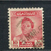 Ирак - 1948/1950 - Король Фейсал II 10F - [Mi.134] - 1 марка. Гашеная.  (LOT Dj19)