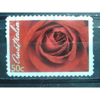 Австралия 2006 День св. Валентина, роза