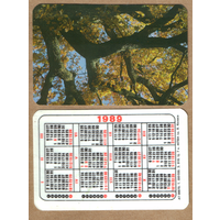 Календарь Природа (08870) 1989