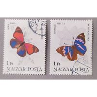 Бабочки, 1984, Венгрия