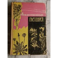 Лекарственные растения (дикорастущие) 1966