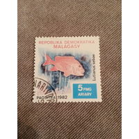 Мадагаскар 1982. Рыбы. Lutianus Sebae