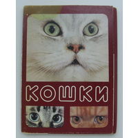 Комплект открыток 1989 года " Кошки " ( 18 шт. ) 138.