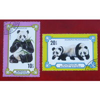Монголия. Панды. ( 2 марки ) 1977 года. 4-2.