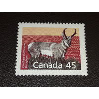 Канада 1990 Фауна. Антилопа. Чистая марка