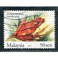 Малайзия. Фауна. Лягушка