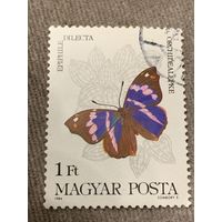Венгрия 1984. Бабочки. Orchidealepke. Марка из серии
