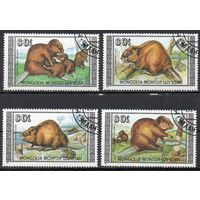 Фауна Бобры Монголия 1989 год серия из 4-х марок