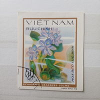 Вьетнам 1978. Водные растения. Беззубцовая