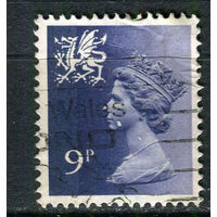 Уэльс и Монмутшир (Великобритания) - 1978 - Королева Елизавета II 9Р - [Mi.26] - 1 марка. Гашеная.  (Лот 83EV)-T25P1