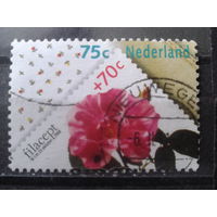 Нидерланды 1988 Роза, живопись Даана ван Голдена