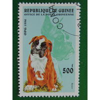 Гвинея 1996г. Фауна.
