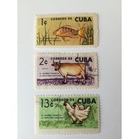 Куба 1964. Фауна. Животные