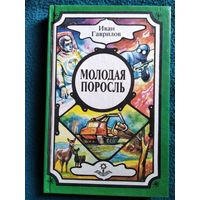 Иван Гаврилов. Молодая поросль