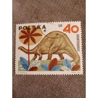 Польша 1965. Бронтозавр