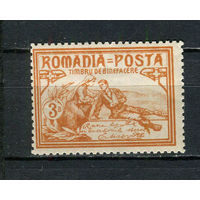 Королевство Румыния - 1906 - Благотворительность 3B - [Mi.169A] - 1 марка. MH.  (Лот 49EQ)-T7P8