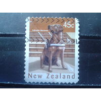 Новая Зеландия 2006 Собака